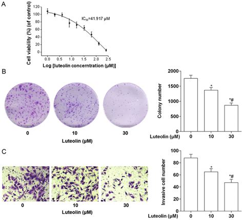 Inhibitory Effects Of Luteolin On The Proliferation And Invasion Of