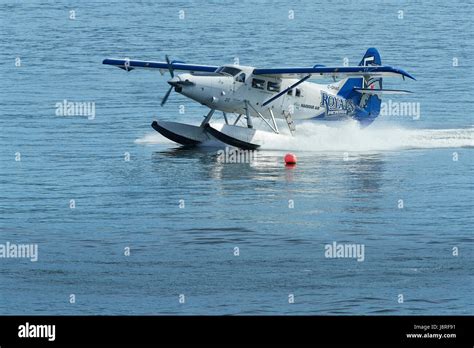 Harbour Air Seaplanes Floatplane In The Victoria Royals Livery, Landing At The Vancouver Harbour ...