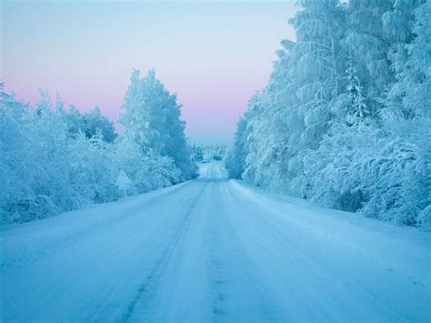cold weather haters guide