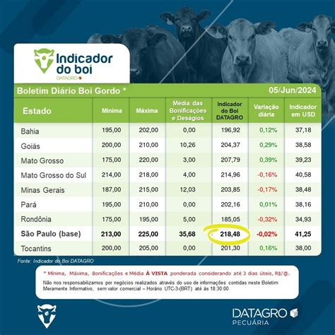 Balizador de preços do boi gordo GPB DATAGRO Boletim de 05 junho 2024