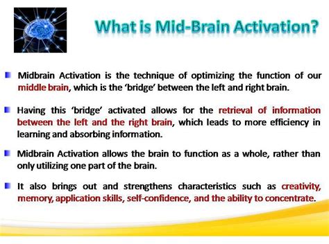 Energy & Mind Power Workshop - Delhi | Mid Brain Activation in Delhi ...