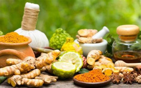 Que Es El Ayurveda Medicina Ayurvedica La Ciencia De La Vida