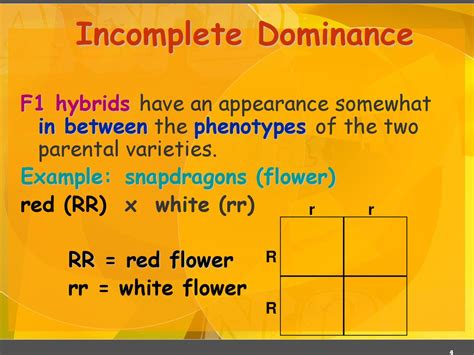 Non Mendelian Genetics Incomplete Dominance Codominace Multiple