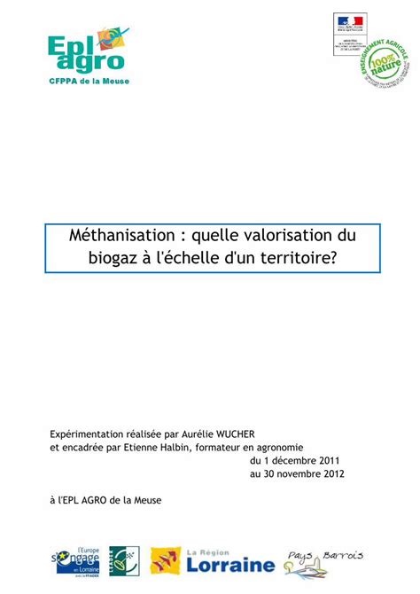 PDF Méthanisation quelle valorisation du biogaz à l échelle C