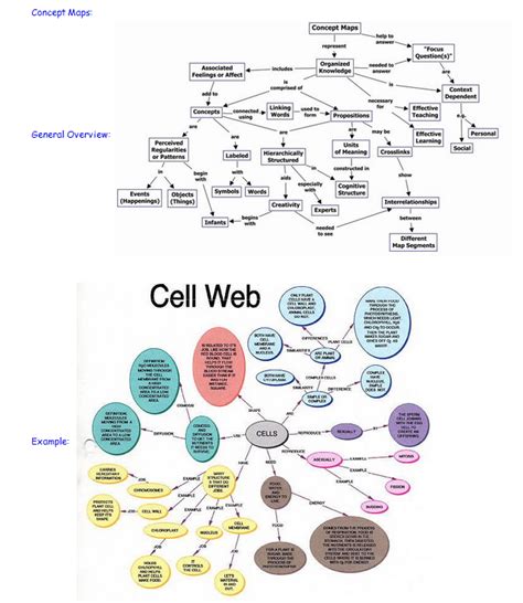 Solved Digestive System Concept Map Digestive Concept Map