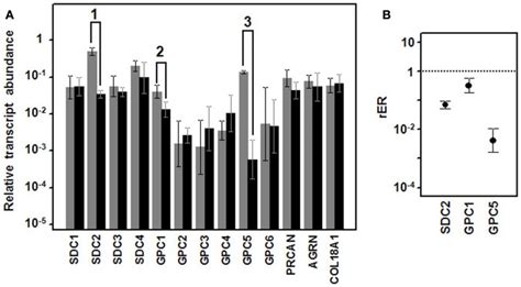 Differential Transcription Of Genes Encoding Hspgs A Relative