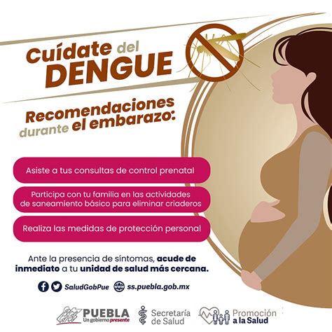 Registra Puebla Nuevos Casos De Dengue En Ltimas Horas Salud