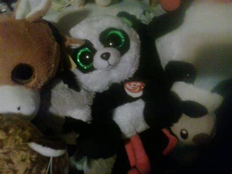 My Ty Beanie Boo Bamboo Panda Plush 194 By Pokemonosterfanzg On Deviantart