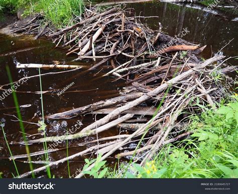 2,519 Timber Dam Images, Stock Photos & Vectors | Shutterstock