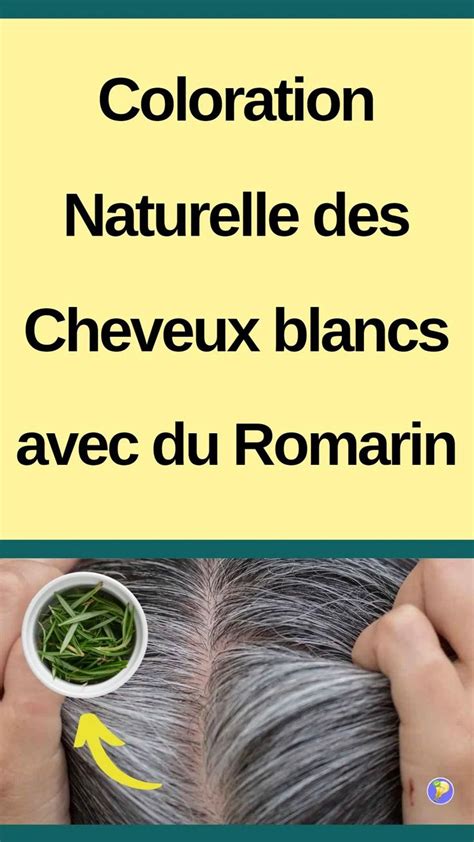 Cheveux Blancs en Beauté la Puissance du Romarin Coloration