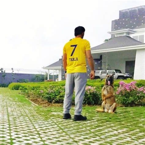 MS Dhoni’s House – Photos, Area, Interior, Address & More » StarsUnfolded