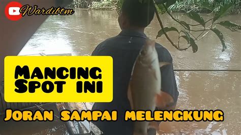 Mancing Ikan Nilem Tarikan Nya Memang Buat Joran Melengkung