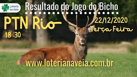 Resultado Do Jogo Do Bicho A Ptn Rio Das Horas Ter A