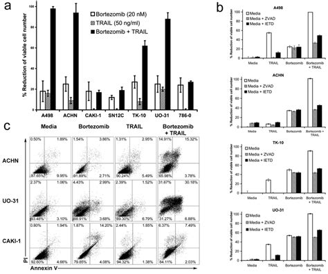 Bortezomib Sensitizes Some Human Renal Cancer Cell Lines To Caspase