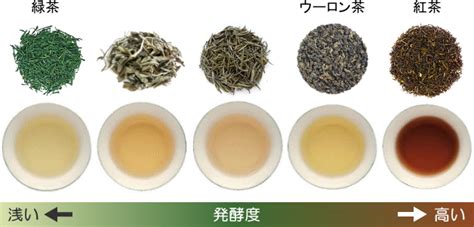 日本茶（緑茶）の種類と違いを知ろう！絶対知っておきたい日本茶の基礎知識 お茶を楽しむ