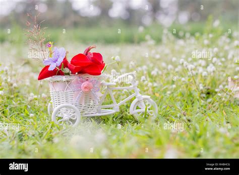 Flower delivery bike Stock Photo - Alamy