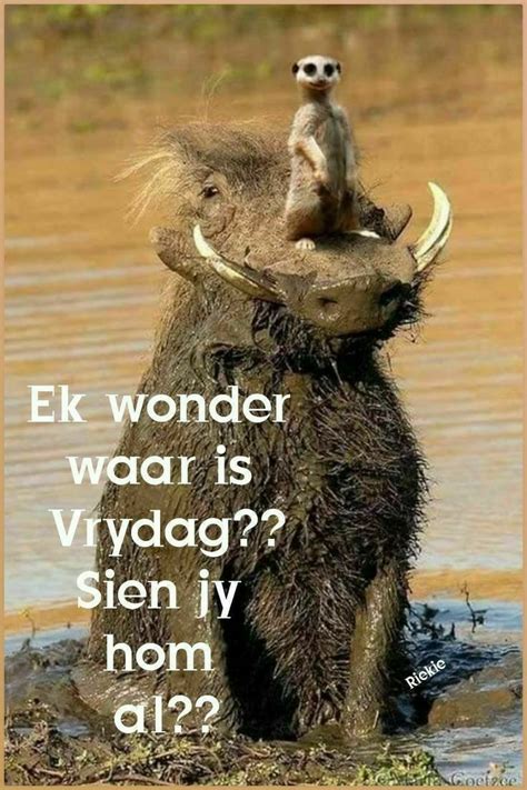 Good Morning Smiley Afrikaanse Quotes Goeie More Goeie Nag Hom