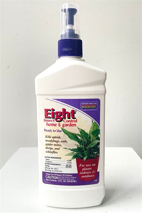 Bonide Eight House Plant Insect Killer 12oz Sprout Home