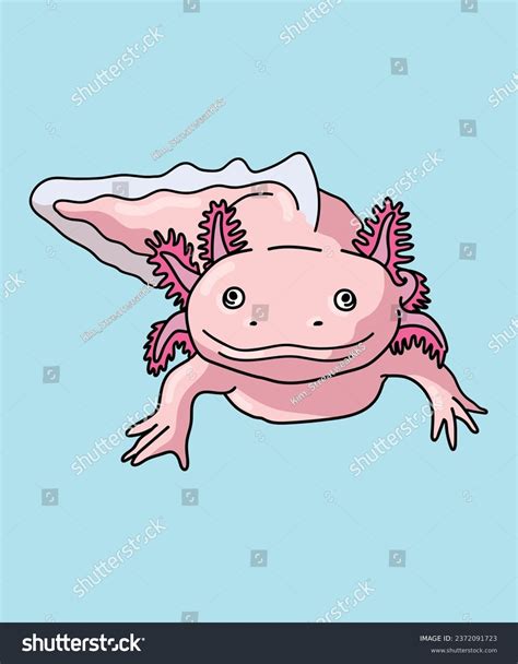 Axolotl Amphibian Axolotls Front View Royalty Free Stock Vector