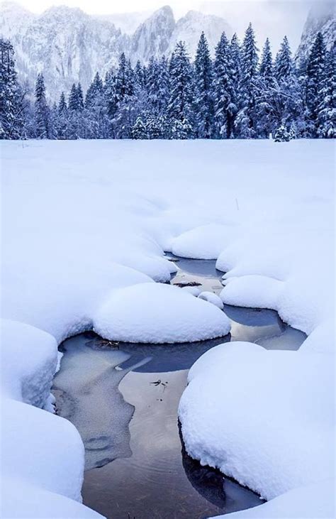 Yosemite National Park in winter. | Yosemite national park, National ...