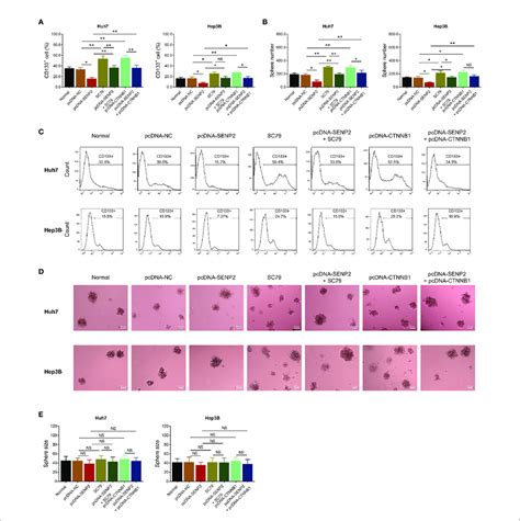 Stemness In The Compensation Experiment Comparison Of Cd133 Cell