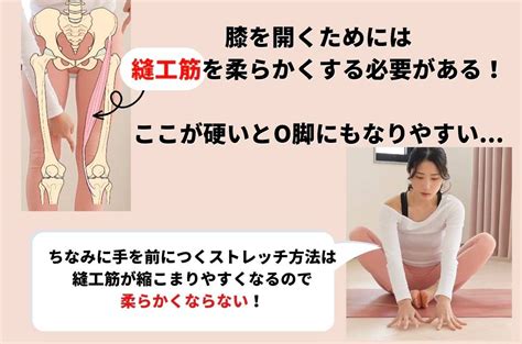 足裏を合わせて手を前につくストレッチはng？股関節が効率よく柔らかく＆膝が開くようになる方法 ヨガジャーナルオンライン