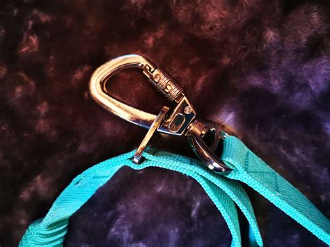 SlingGuard 2 in 1 Walking Leash/Car Lead | The Dog Ramp Co.