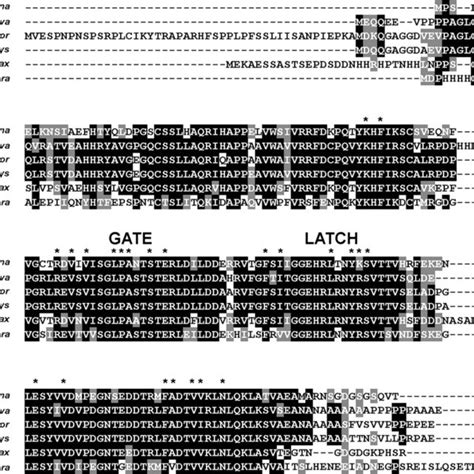 Amino Acid Sequence Alignment Of The Arabidopsis Pyr1 Protein With The