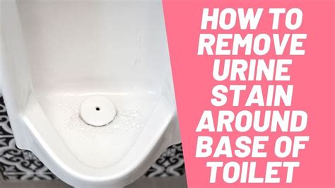 How To Remove Urine Stain Around Base Of Toilet In 3 Easy Methods Youtube