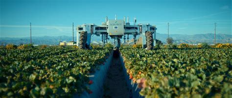 Robotic Harvesters Agrobot