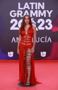 Latin Grammys 2023 Red Carpet & Performance Photos