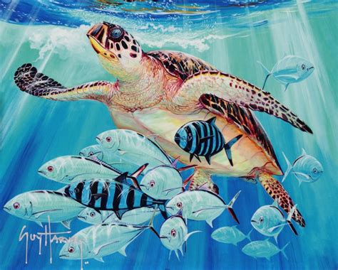 guy harvey interview  artist talks ocean conservation tiger sharks