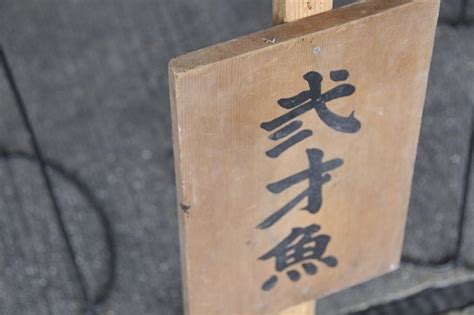 第18回秋のらんちゅう祭り品評会 育波漁港荷捌き所 優等魚その2 淡路育水会活動記録