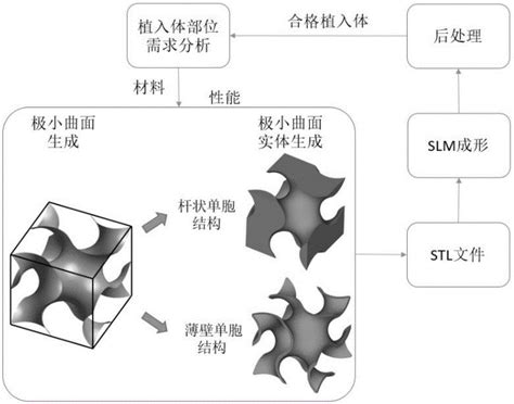 一种采用极小曲面多孔结构制备钛合金植入体的方法与流程