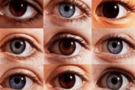 De qué color son tus ojos Este test visual revela rasgos de tu