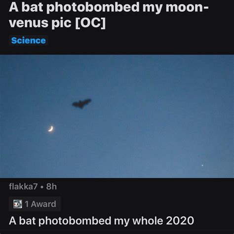 Truth-bomb : r/technicallythetruth