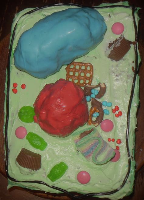 Plant Cell Model Cake – Eclectic Homeschooling