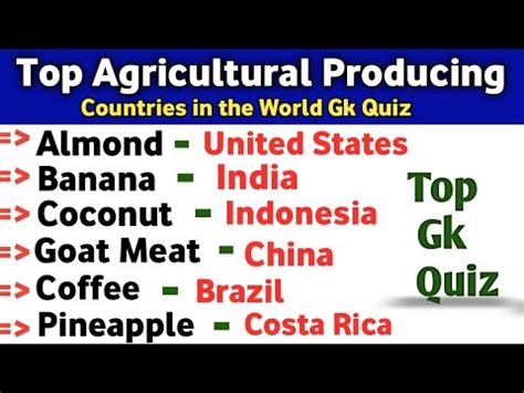 Top Agricultural Producing Countries In The World Largest Producing