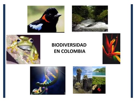 Biodiversidad En Colombia Ppt