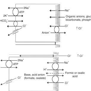 -Causes of hyperchloremia. Pseudohyperchloremia High amounts of serum... | Download Table