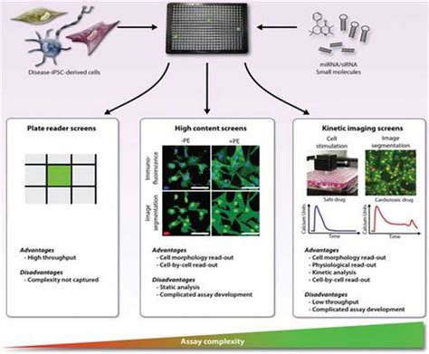 A New Platform For Protein High Throughput Screening Profacgen