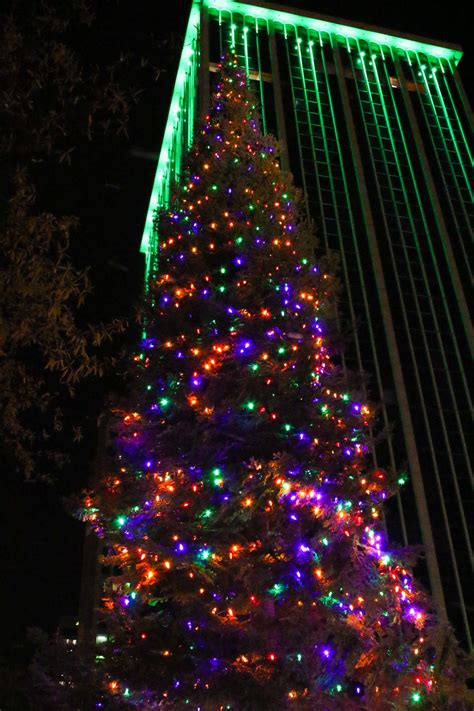 Iconic Christmas Trees in Every State - Best Christmas Trees Near Me