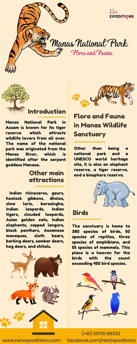 Manas National Park Flora And Fauna National Parks Wildlife Park