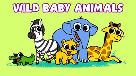 Learn Wild Animals Baby Animal Names Newborn Safari Zoo Wildlife Video ...