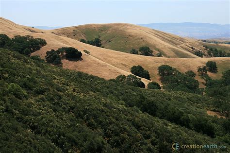 Mount Diablo State Park 2 (Photo) | California United States