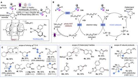 Strong C Sp3 H Arylation By Synergistic Decatungstate Photo HAT And