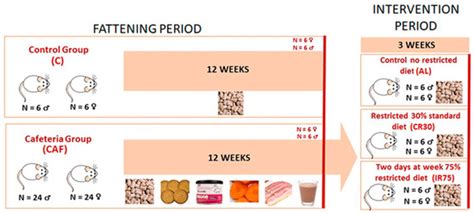 Nutrients Free Full Text Sex Dependent Metabolic Effects In Diet