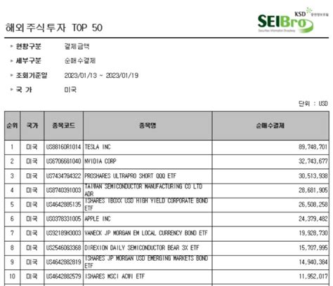 미국주식톱픽 서학개미 테슬라·엔비디아 등 기술주 집중 매수 네이트 뉴스