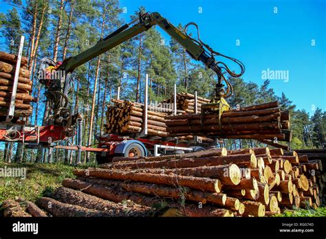 Crane In Forest Loading Logs In The Truck Timber Harvesting And