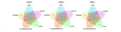 Venn Diagram Of The Demrnas Demirnas And Delncrnas In Five Cancers